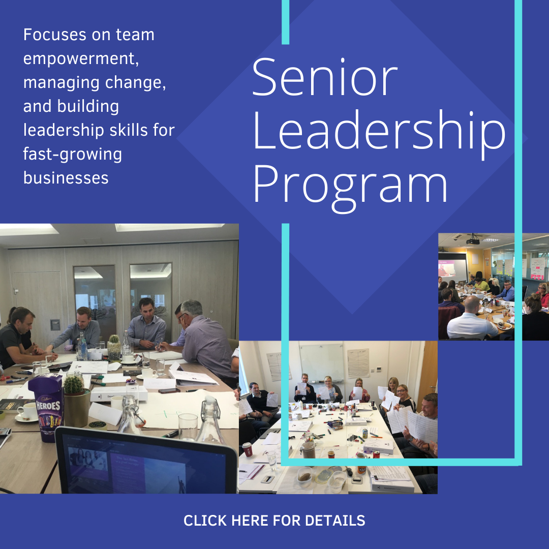 Senior Lead Prog